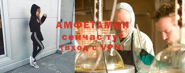 сатива Горнозаводск