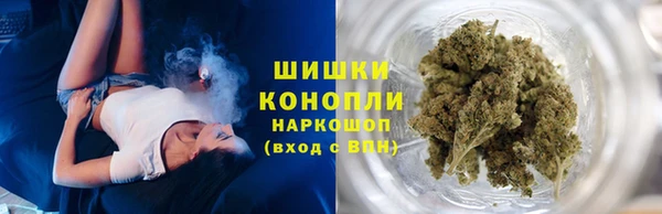 сатива Горнозаводск