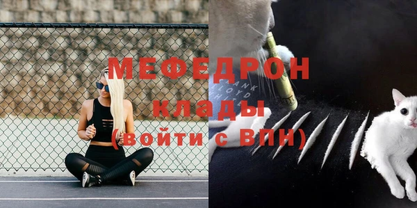 ешки Арсеньев