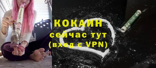 прущие крисы Горняк