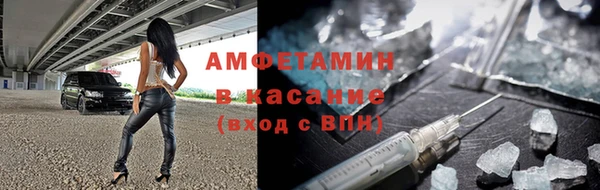 индика Алексин