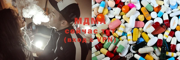 индика Алексин