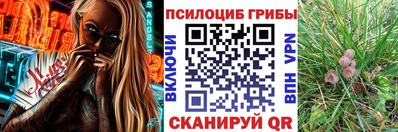 Галлюциногенные грибы ЛСД Аткарск
